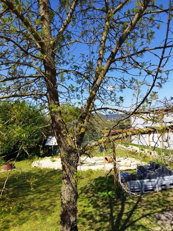 Mobile Home Saint-Christol-lès-Alès Zewnętrze zdjęcie